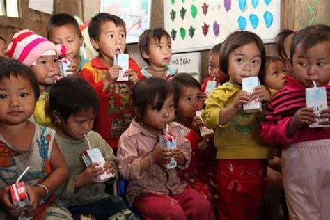 Quỹ Bảo trợ trẻ em Việt Nam