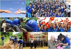 các tổ chức thiện nguyện uy tín tại Việt Nam